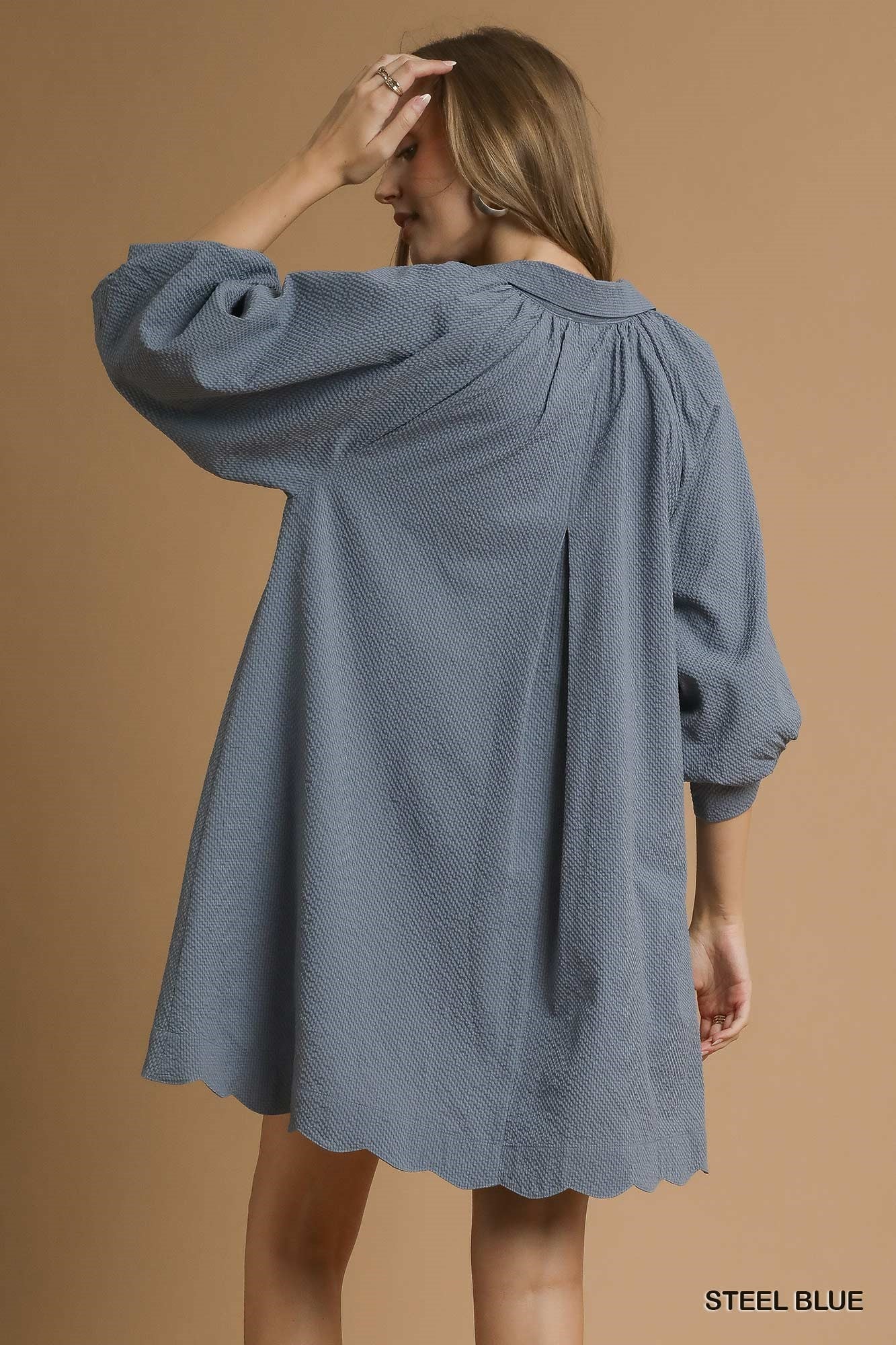 Textured Puff Sleeve Dress