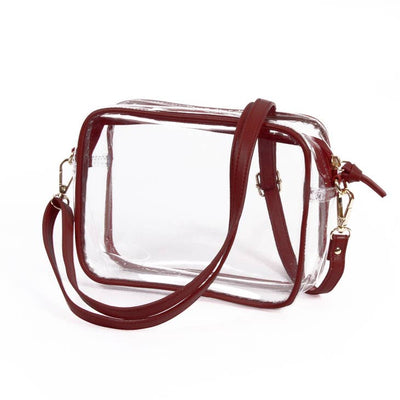 Clear Purse with Leather Strap