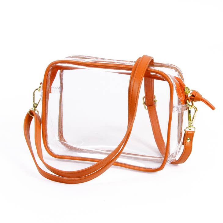 Clear Purse with Leather Strap