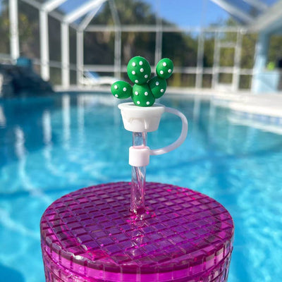 Straw Cover Topper